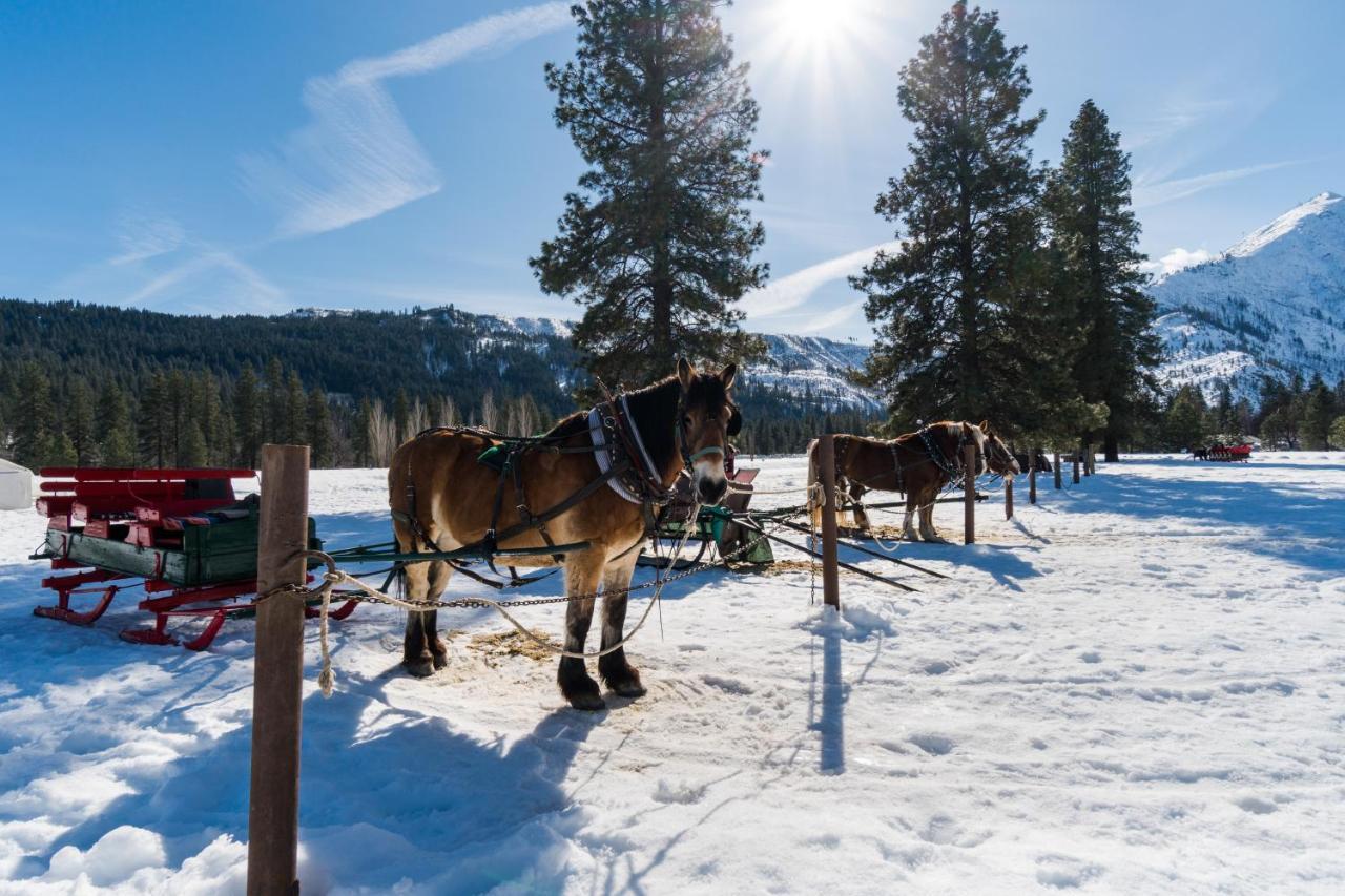 Aspen Suites 506: The Nest Leavenworth Esterno foto